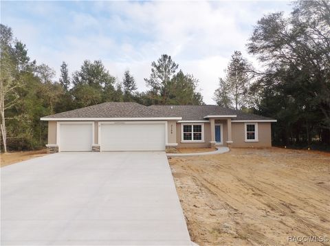 A home in Citrus Springs