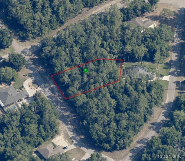 8445 N Foresome Way, Citrus Springs, New York image 5