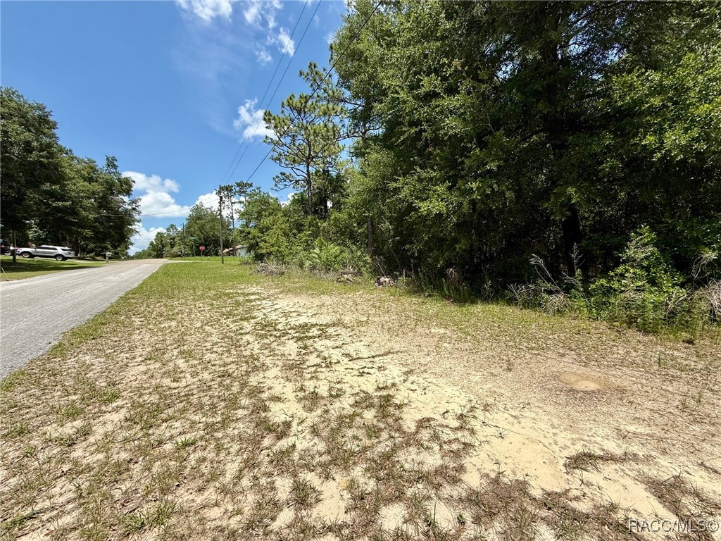 8445 N Foresome Way, Citrus Springs, New York image 2