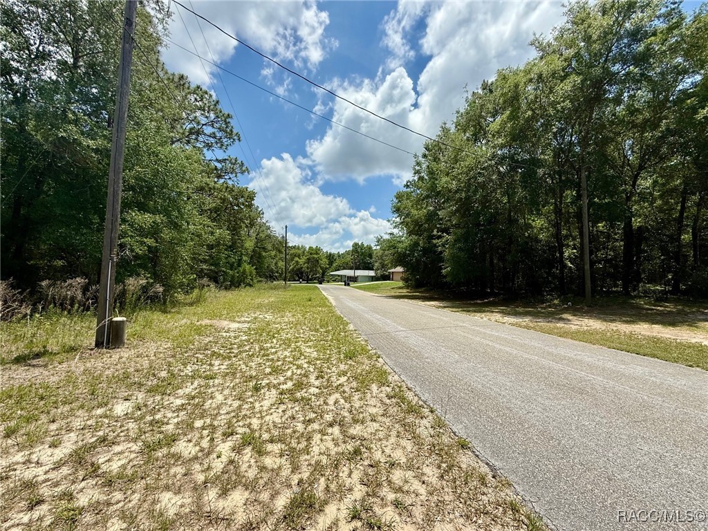 8445 N Foresome Way, Citrus Springs, New York image 4