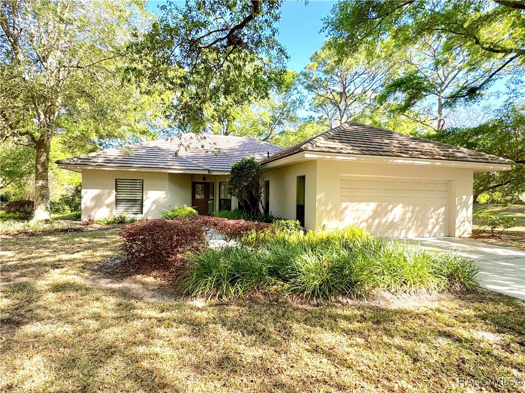 2945 W Plantation Pines Court, Lecanto, Florida image 1