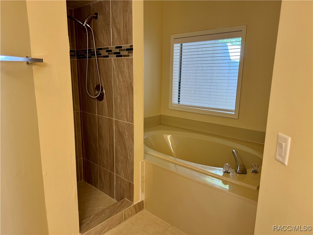 2945 W Plantation Pines Court, Lecanto, Florida image 12