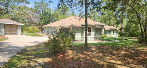 3396 W Promontory Drive Beverly Hills FL 34465