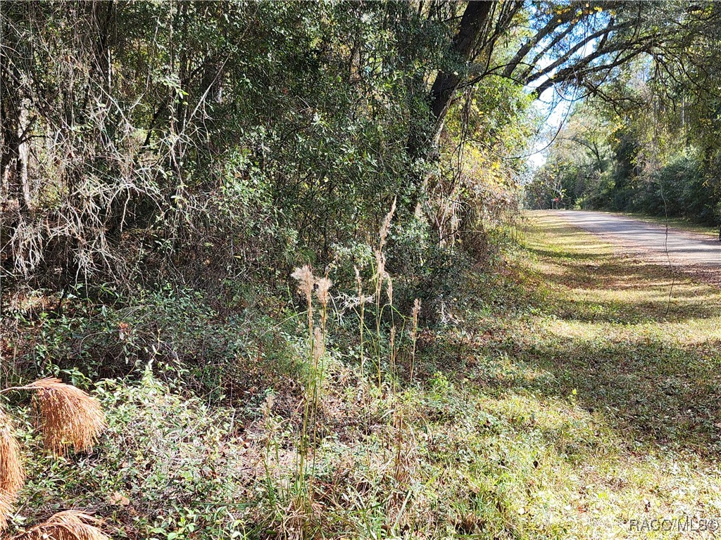 1346 E Derby Drive, Citrus Springs, Florida image 4