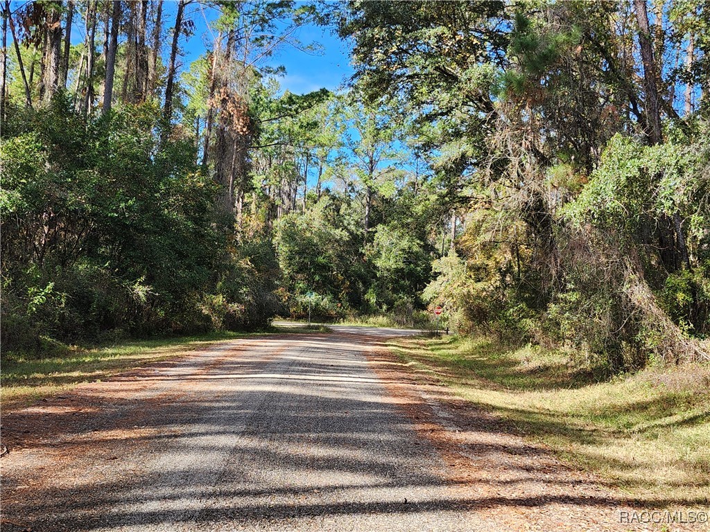 1346 E Derby Drive, Citrus Springs, Florida image 1