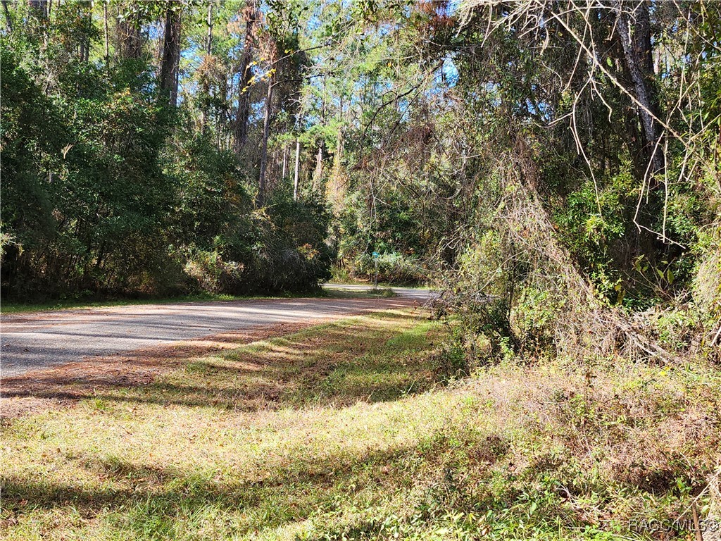 1346 E Derby Drive, Citrus Springs, Florida image 3