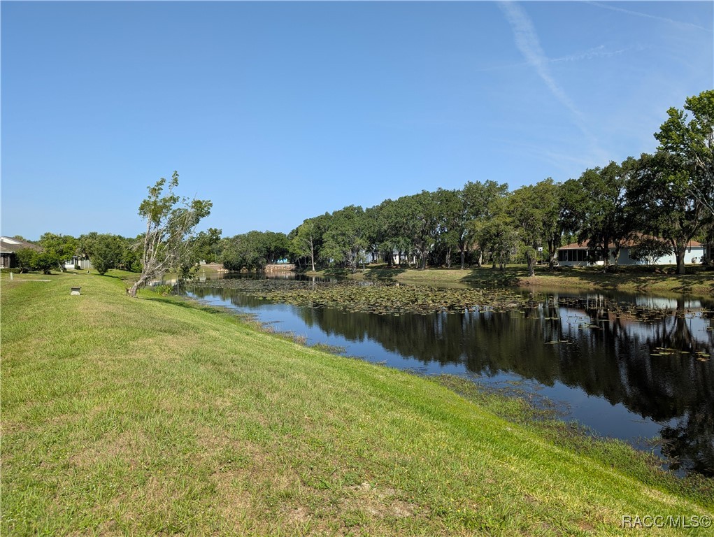 9815 E Pebble Creek Court, Inverness, New York image 37