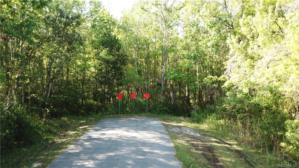 1500 S Candlenut Avenue, Homosassa, Florida image 9
