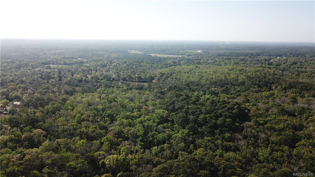 1500 S Candlenut Avenue, Homosassa, Florida image 14