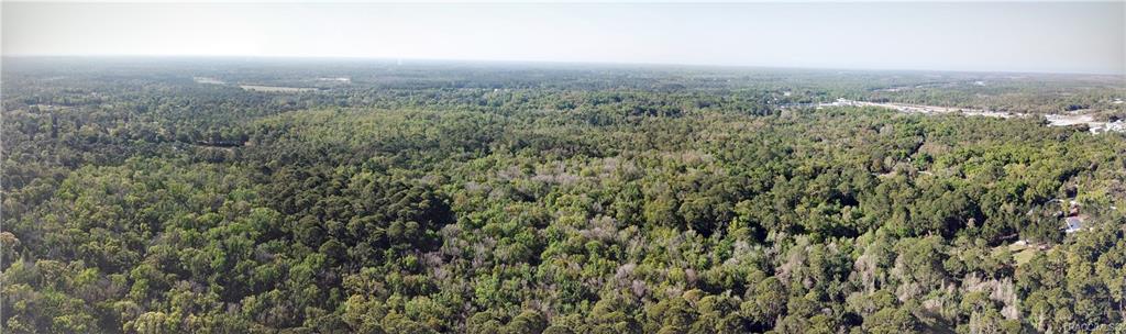 1500 S Candlenut Avenue, Homosassa, Florida image 10