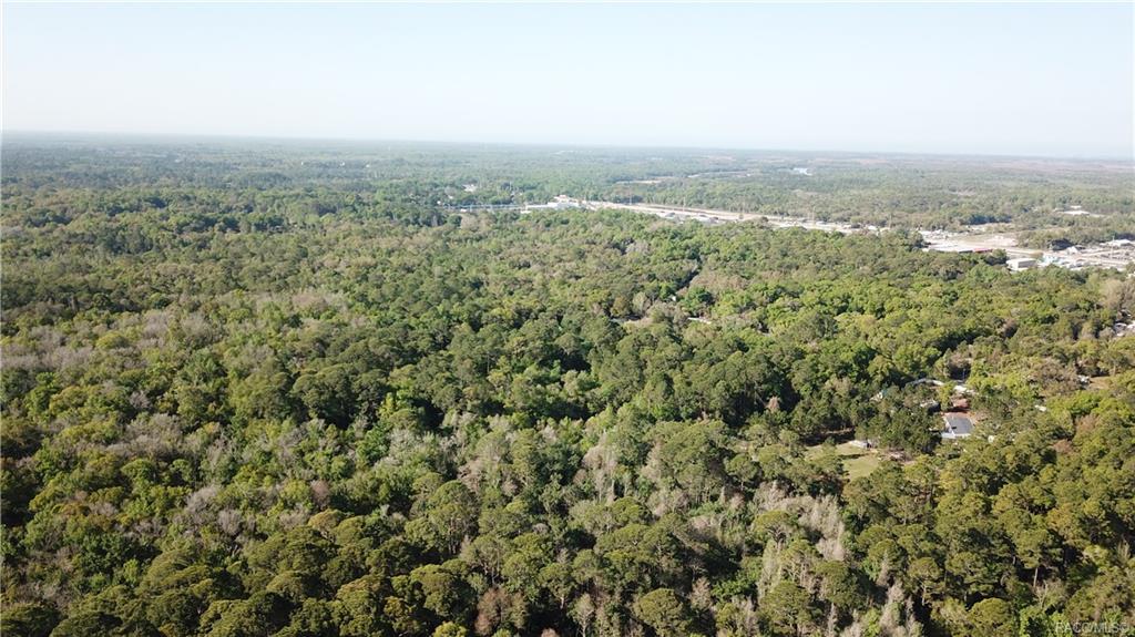 1500 S Candlenut Avenue, Homosassa, Florida image 12