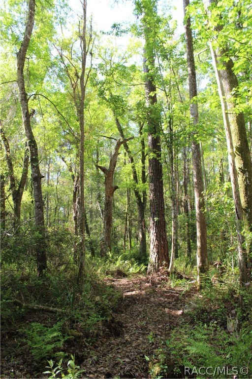 1500 S Candlenut Avenue