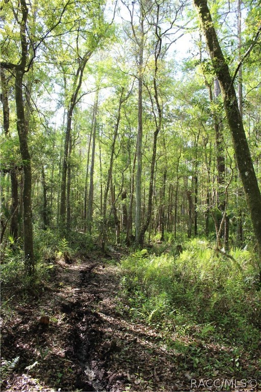 1500 S Candlenut Avenue