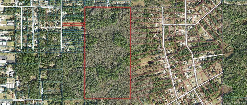 1500 S Candlenut Avenue, Homosassa, Florida image 1