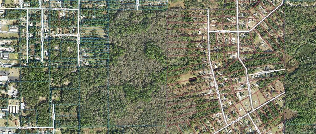 1500 S Candlenut Avenue, Homosassa, Florida image 2