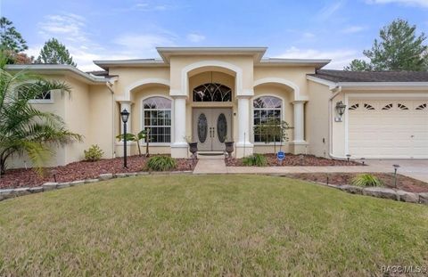 A home in Homosassa
