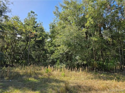 14954 W River Road Inglis FL 34449