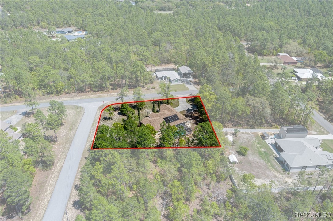 4142 W Overbrook Place, Citrus Springs, Florida image 5
