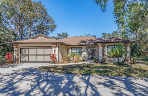 1 Linder Street Homosassa FL 34446