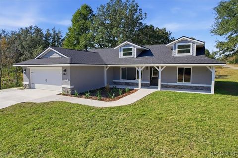 8196 N Terrel Terrace Dunnellon FL 34434