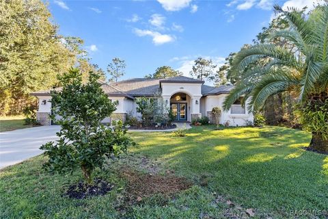 A home in Homosassa