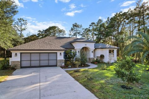 A home in Homosassa