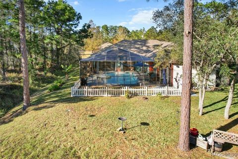 A home in Homosassa