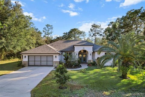 A home in Homosassa