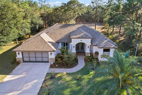 33 Milbark Drive Homosassa FL 34446