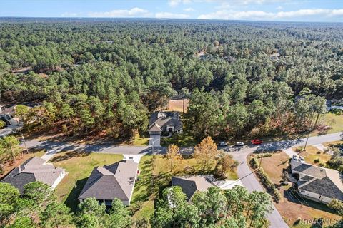 A home in Homosassa