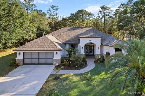 A home in Homosassa