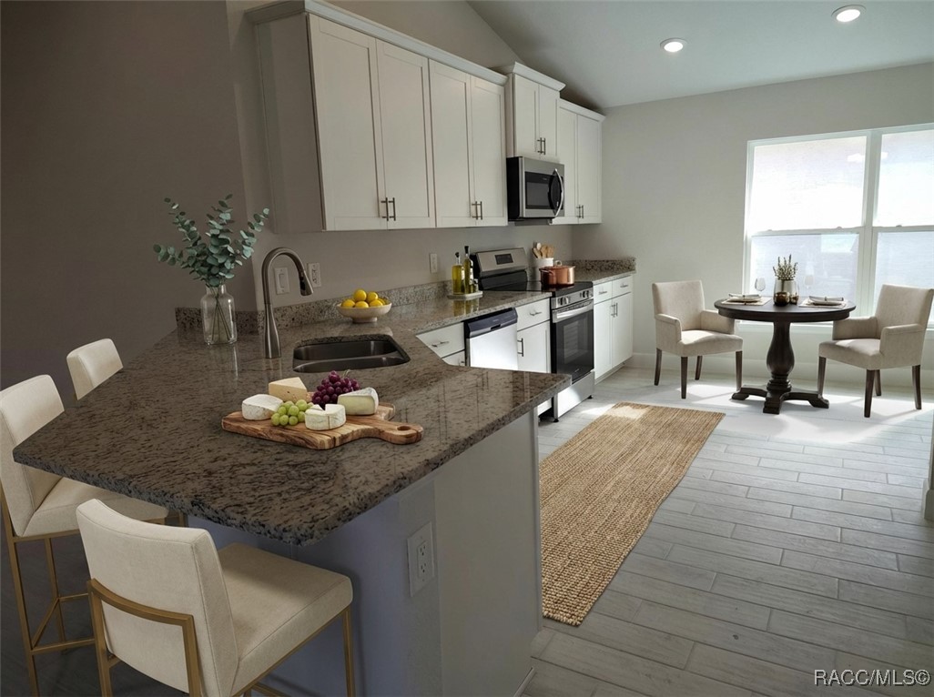 1170 Heron Point Drive