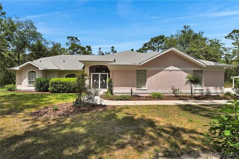 3153 N Stirrup Drive Beverly Hills FL 34465