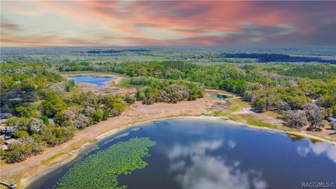 8050 S Baker Avenue Floral City FL 34436