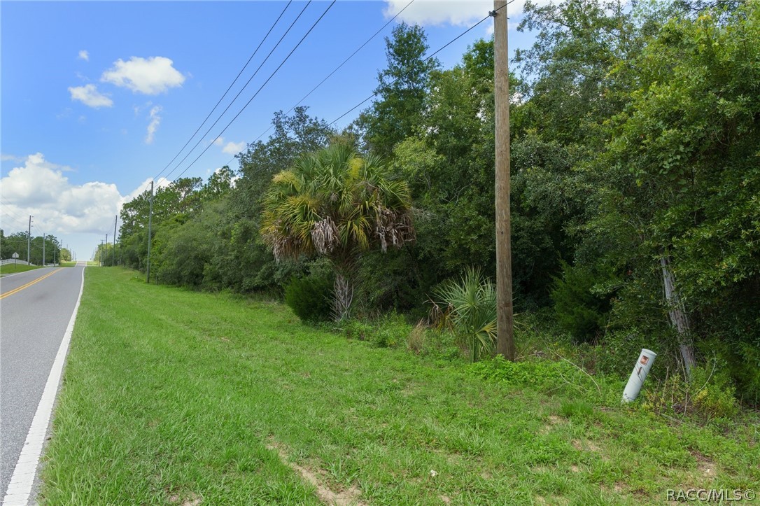 4479 W Homosassa Trail, Lecanto, Florida image 17