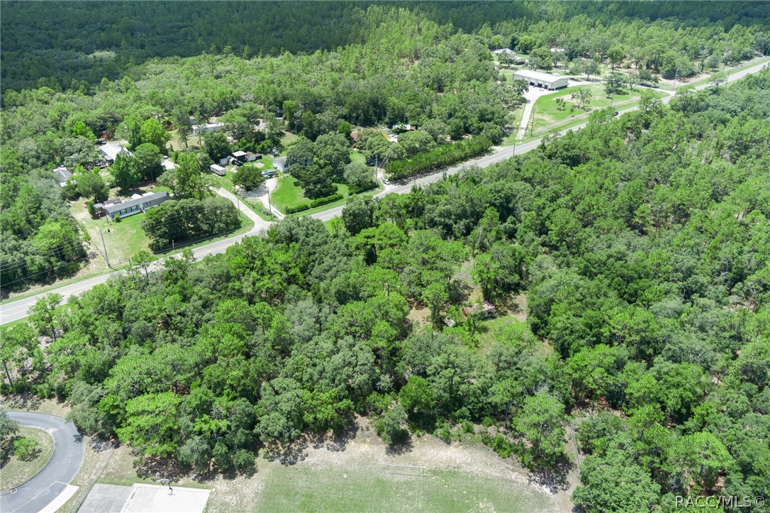 4479 W Homosassa Trail, Lecanto, Florida image 8