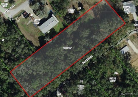 Vacant Land For Sale - 1751 E Zyrian Place<br/> Hernando, FL 34442