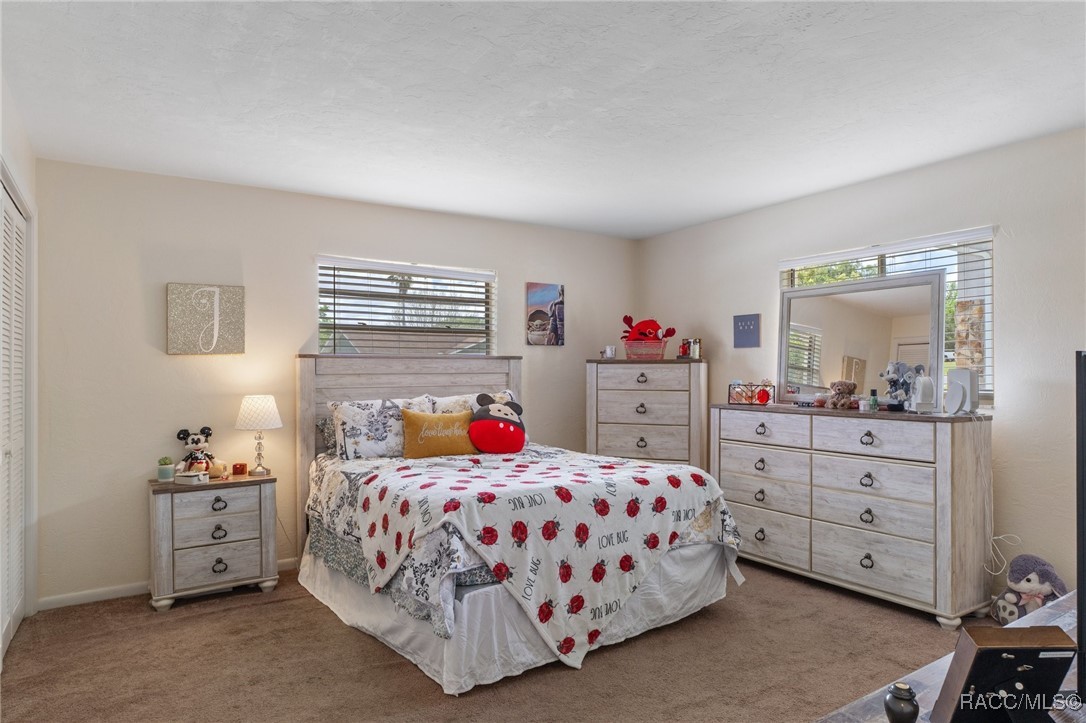 3288 N Maidencane Drive, Beverly Hills, Florida image 21