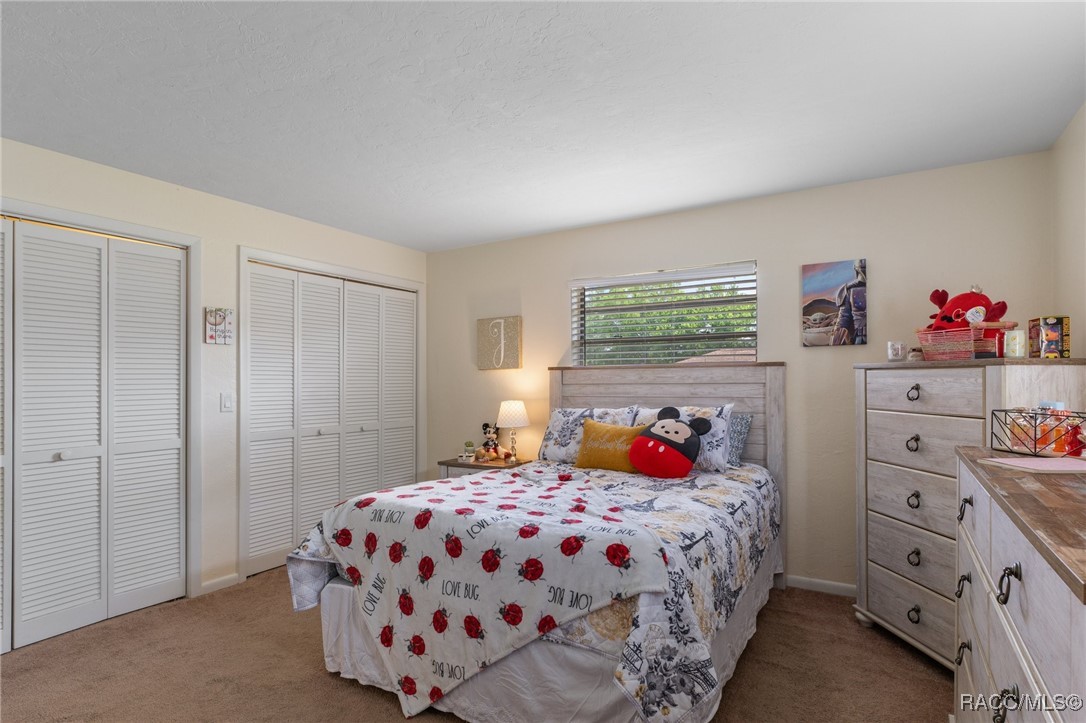 3288 N Maidencane Drive, Beverly Hills, Florida image 22