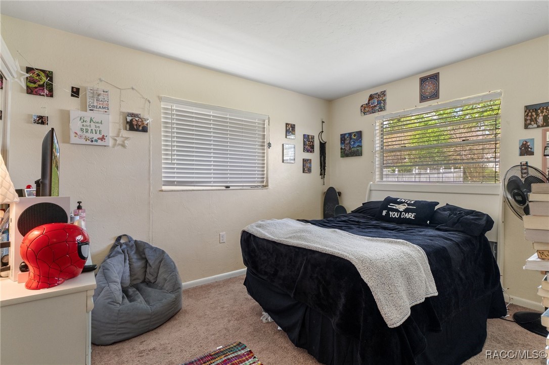 3288 N Maidencane Drive, Beverly Hills, Florida image 24