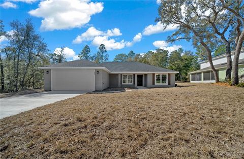 A home in Citrus Springs