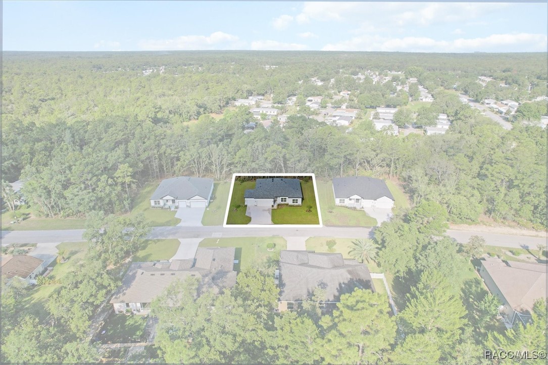41 Bells Of Ireland Court, Homosassa, Florida image 38