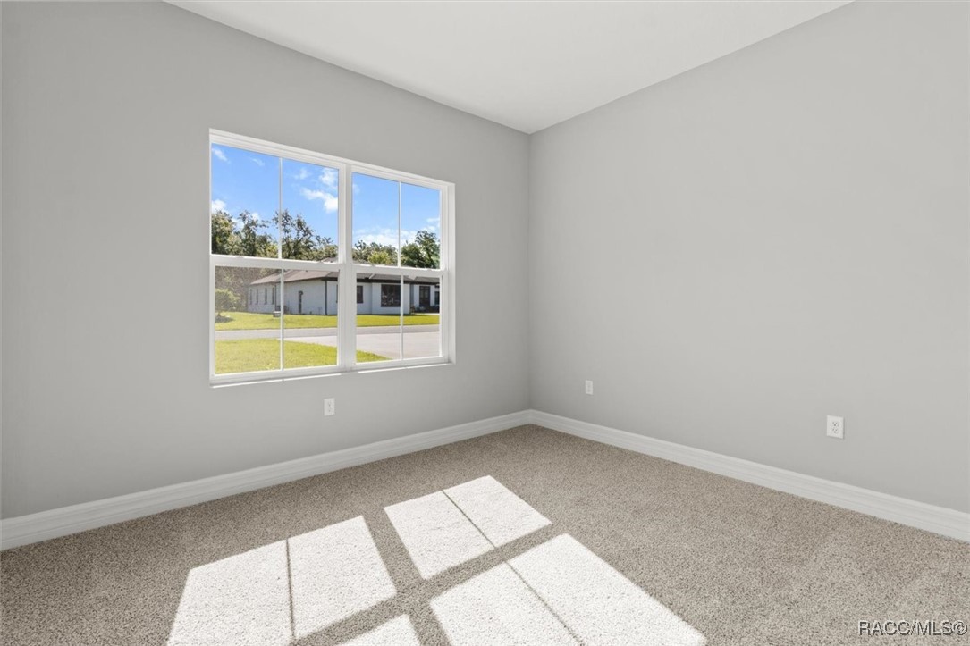 41 Bells Of Ireland Court, Homosassa, Florida image 24