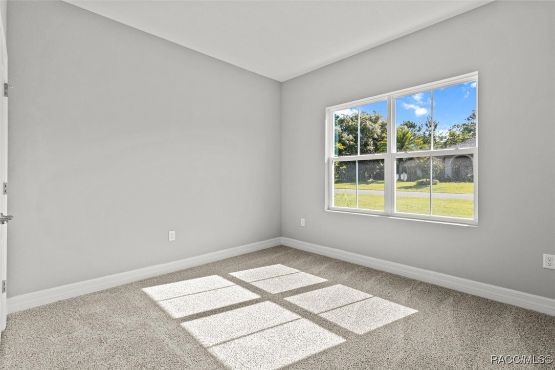 41 Bells Of Ireland Court, Homosassa, Florida image 29