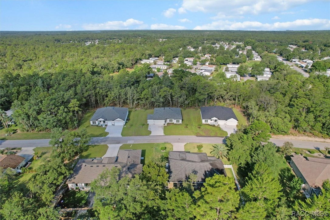 41 Bells Of Ireland Court, Homosassa, Florida image 40