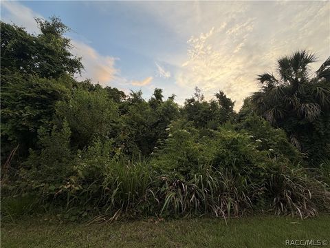 Vacant Land For Sale - 1062 N Fan Palm Point<br/> Crystal River, FL 34429