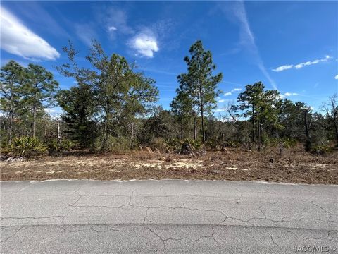 Vacant Land For Sale - 12 Smilax Court<br/> Homosassa, FL 34446