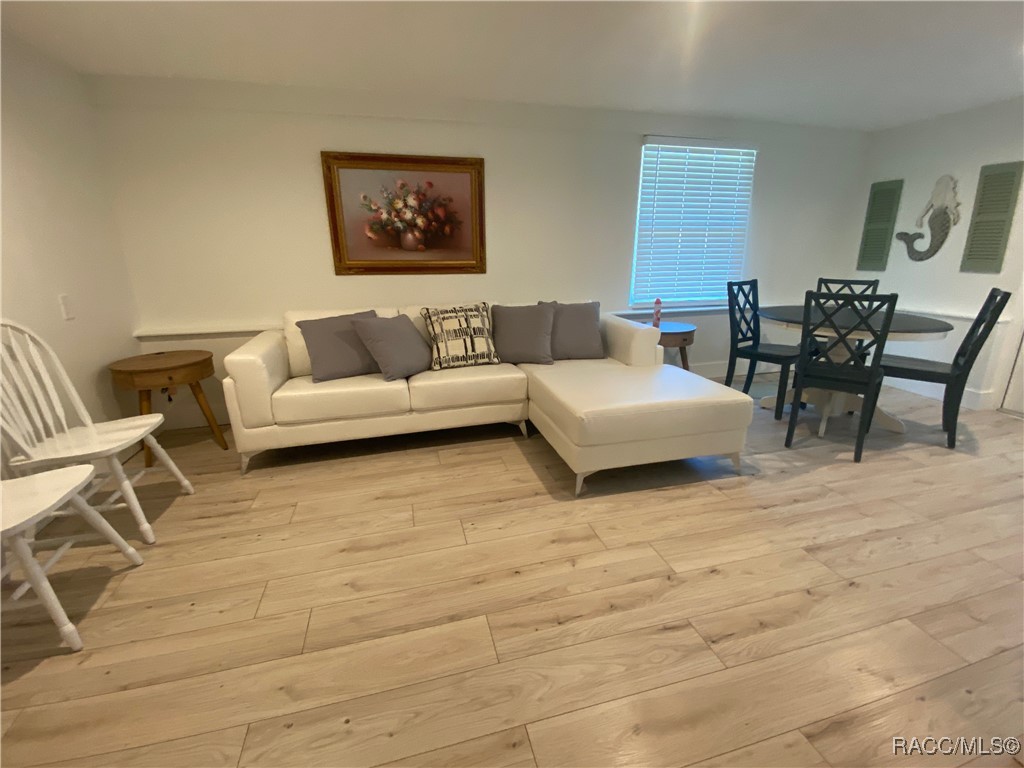 10765 W Spring Circle, Crystal River, Florida image 16