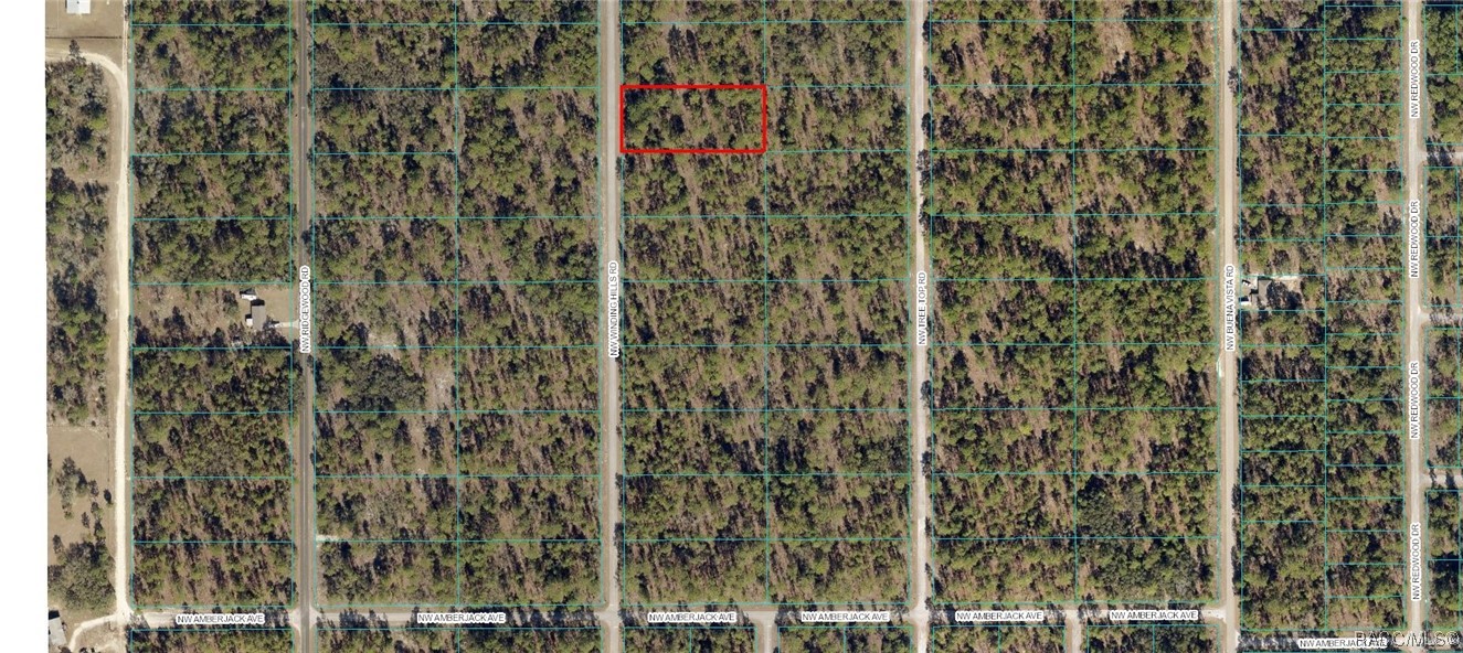 Lot 27 NW Winding Hills Road, Dunnellon, Florida image 1