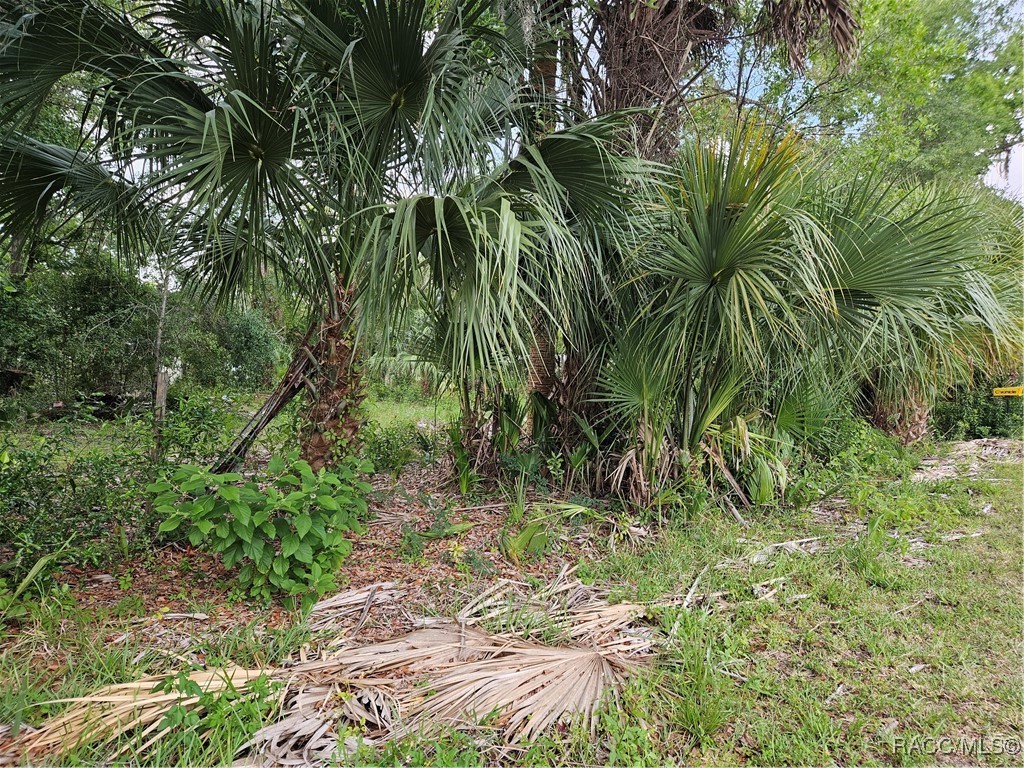 4360 E Nugget Pass Place, Dunnellon, Florida image 3
